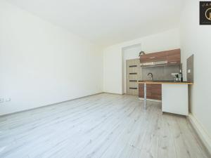 Prodej bytu 1+kk, Praha - Žižkov, V domově, 26 m2
