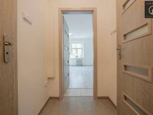 Prodej bytu 1+kk, Praha - Žižkov, V domově, 26 m2