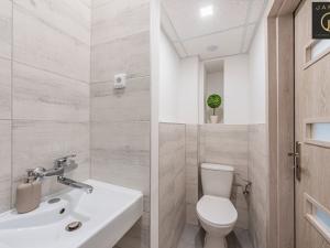 Prodej bytu 1+kk, Praha - Žižkov, V domově, 26 m2