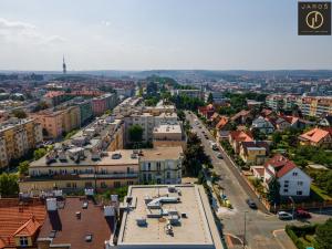 Prodej bytu 1+kk, Praha - Žižkov, V domově, 26 m2
