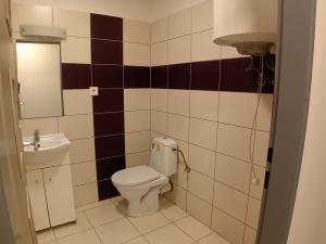 Pronájem bytu 1+kk, Opava, Hany Kvapilové, 27 m2