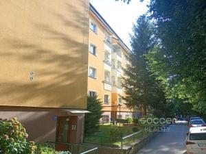 Pronájem bytu 1+kk, Praha - Žižkov, Jeseniova, 28 m2
