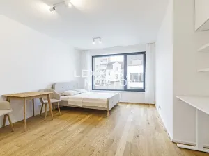 Pronájem bytu 1+kk, Praha - Holešovice, U průhonu, 32 m2