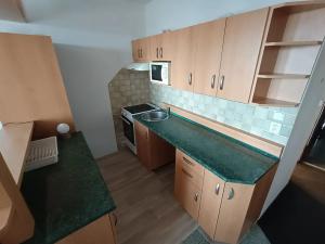 Pronájem bytu 1+1, Plzeň, Šimerova, 40 m2