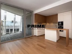 Pronájem bytu 4+kk, Praha - Smíchov, Holečkova, 174 m2