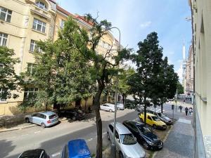 Pronájem bytu 1+kk, Praha - Vinohrady, Řipská, 30 m2