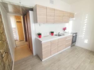 Pronájem bytu 2+1, Kopřivnice, Pod Bílou horou, 53 m2