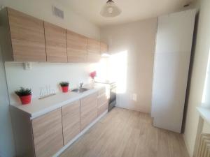 Pronájem bytu 2+1, Kopřivnice, Pod Bílou horou, 53 m2
