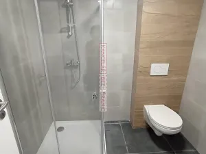 Pronájem bytu 1+1, Kunovice, Potočná, 46 m2