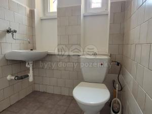 Pronájem bytu 1+kk, Jablonec nad Nisou, Rybářská, 25 m2