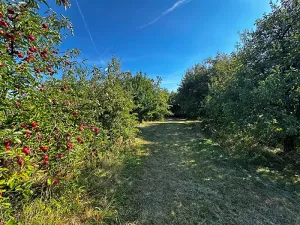 Prodej pozemku pro bydlení, Suchdol nad Odrou, 1500 m2