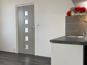 Pronájem bytu 1+1, Chomutov, 17. listopadu, 36 m2