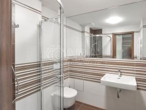 Pronájem bytu 2+kk, Praha - Vysočany, Svatošových, 65 m2