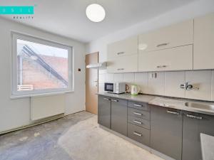 Prodej bytu 2+1, Luběnice, 140 m2