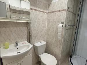 Pronájem bytu 1+1, Praha - Letňany, Tupolevova, 35 m2