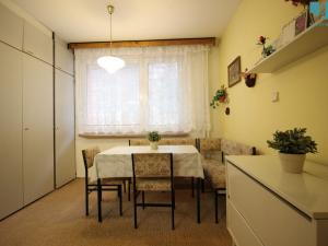Pronájem bytu 1+1, Třebíč, Modřínová, 36 m2