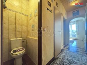 Prodej bytu 2+1, Sokolov, Hornická, 50 m2
