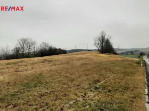 Prodej komerčního pozemku, Březová nad Svitavou, 33986 m2