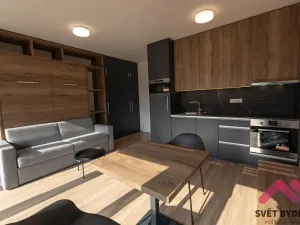 Pronájem bytu 1+kk, Praha - Holešovice, V háji, 40 m2