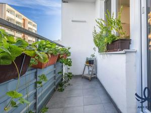Prodej bytu 3+1, Mladá Boleslav, Palackého, 72 m2