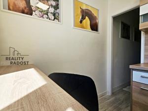 Prodej bytu 1+1, Brno, Mlýnská, 31 m2