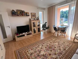 Prodej bytu 2+kk, Karlovy Vary, Spálená, 50 m2