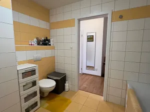 Prodej bytu 2+kk, Karlovy Vary, Spálená, 50 m2