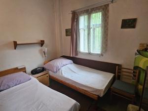 Prodej rodinného domu, Homole u Panny, 220 m2