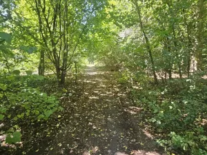 Prodej pozemku pro bydlení, Ústí nad Labem, Litoměřická, 5379 m2
