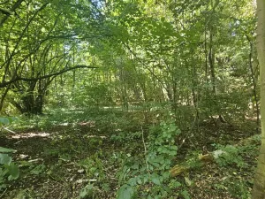 Prodej pozemku pro bydlení, Ústí nad Labem, Litoměřická, 5379 m2