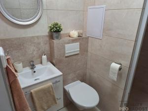 Pronájem bytu 1+kk, Děčín, Duchcovská, 20 m2