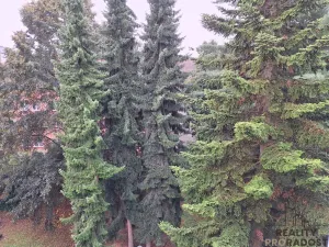 Pronájem bytu 1+kk, Děčín, Duchcovská, 20 m2