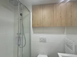 Pronájem bytu 1+kk, Praha - Braník, Branická, 30 m2
