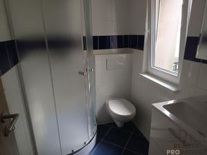 Pronájem bytu 1+kk, Praha, Polabská, 19 m2