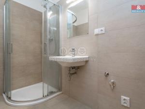 Pronájem bytu 1+kk, Plzeň - Litice, Vysoká, 38 m2