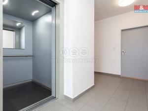 Pronájem bytu 1+kk, Plzeň - Litice, Vysoká, 38 m2