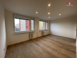 Pronájem bytu 1+kk, Brandýs nad Labem-Stará Boleslav - Brandýs nad Labem, Na vinici, 30 m2