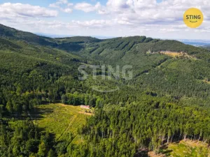 Prodej historického objektu, Česká Ves, 500 m2