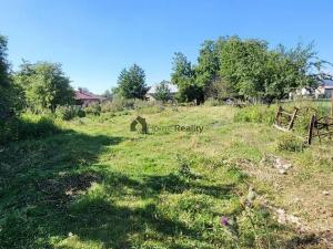 Prodej zemědělské usedlosti, Hladké Životice, Malá Strana, 250 m2