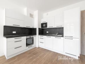 Pronájem bytu 2+kk, Praha - Holešovice, Jankovcova, 62 m2