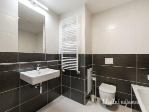 Pronájem bytu 2+kk, Praha - Holešovice, Jankovcova, 62 m2