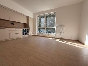Pronájem bytu 2+kk, České Budějovice, Hálkova, 36 m2