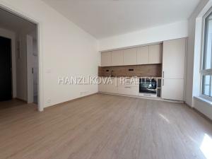 Pronájem bytu 2+kk, České Budějovice, Hálkova, 36 m2