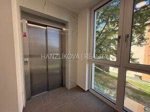 Pronájem bytu 2+kk, České Budějovice, Hálkova, 36 m2