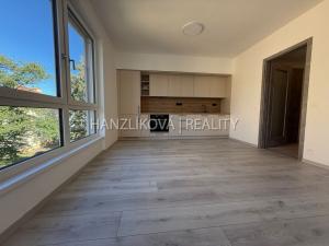 Pronájem bytu 3+kk, České Budějovice, Hálkova, 54 m2