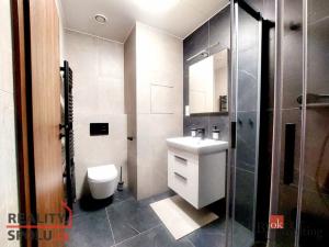 Pronájem bytu 1+kk, Plzeň - Jižní Předměstí, 38 m2