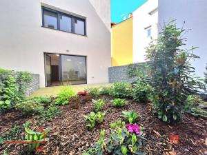 Pronájem bytu 1+kk, Plzeň - Jižní Předměstí, 38 m2