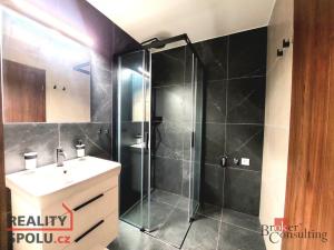 Pronájem bytu 1+kk, Plzeň - Jižní Předměstí, 38 m2