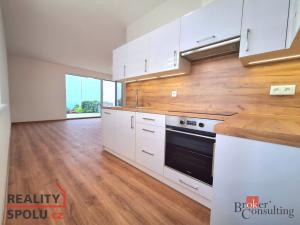 Pronájem bytu 1+kk, Plzeň - Jižní Předměstí, 38 m2