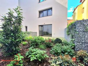 Pronájem bytu 1+kk, Plzeň - Jižní Předměstí, 38 m2